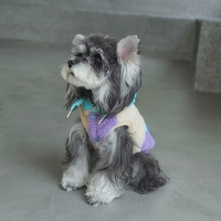 ��ܩ�j�� 2