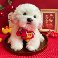 ��ܩ�j�� 2